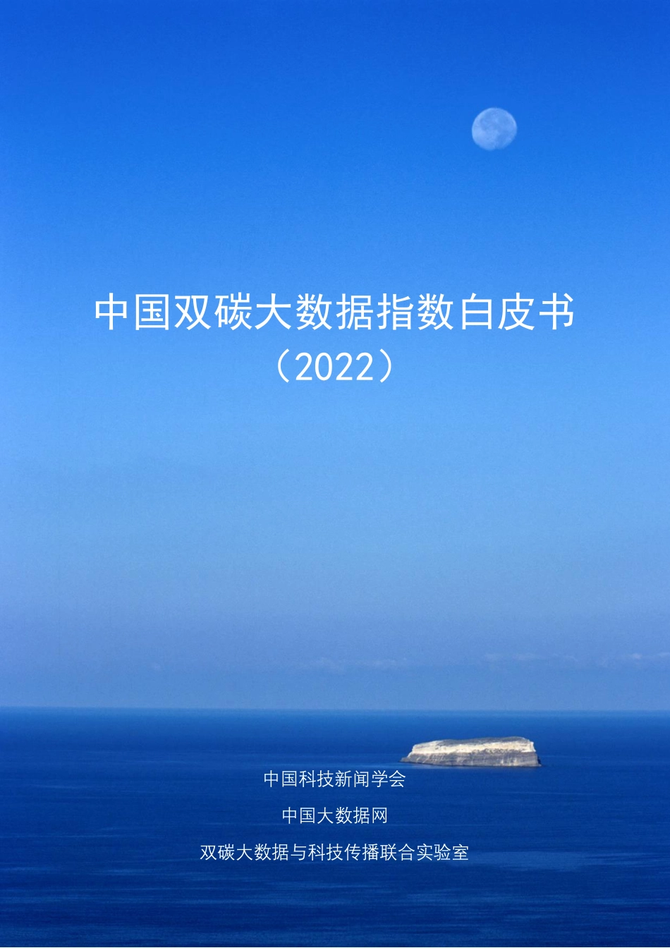 中国双碳大数据指数白皮书_第1页