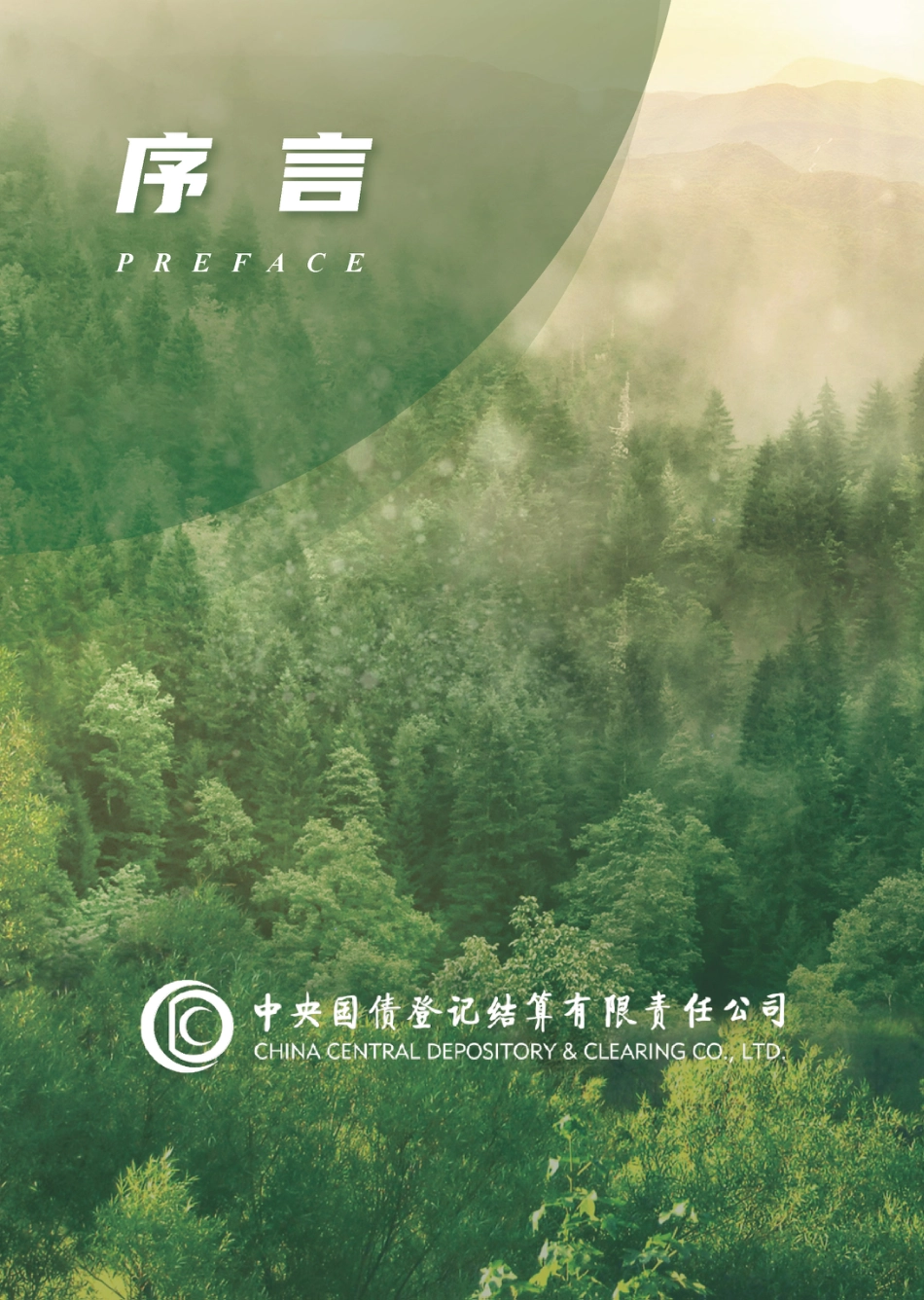 中央结算公司支持绿色发展服务白皮书_第3页