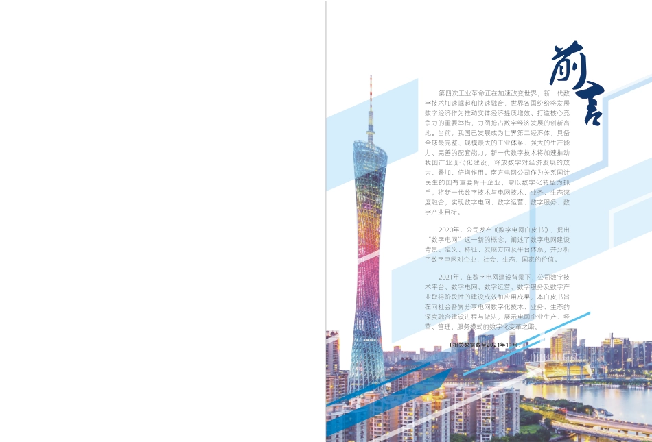 南方电网：《数字电网实践白皮书》_第2页