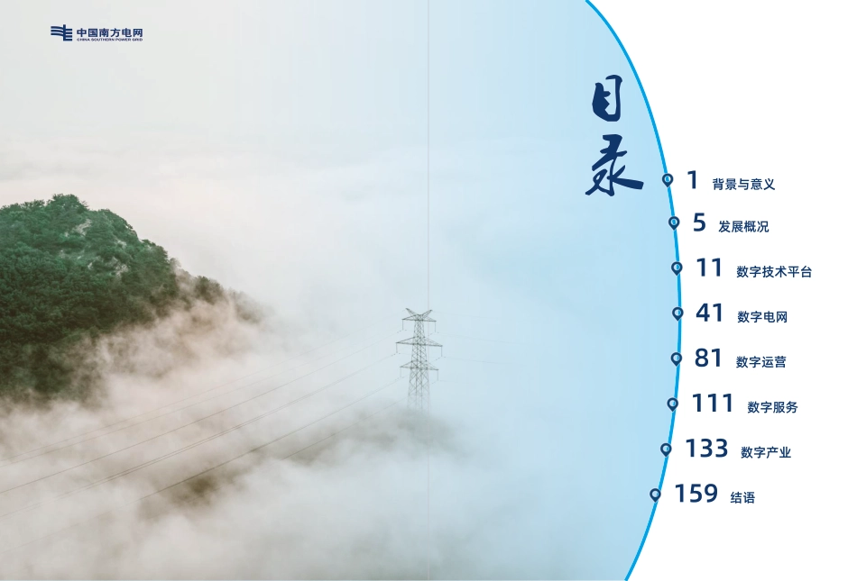 南方电网：《数字电网实践白皮书》_第3页