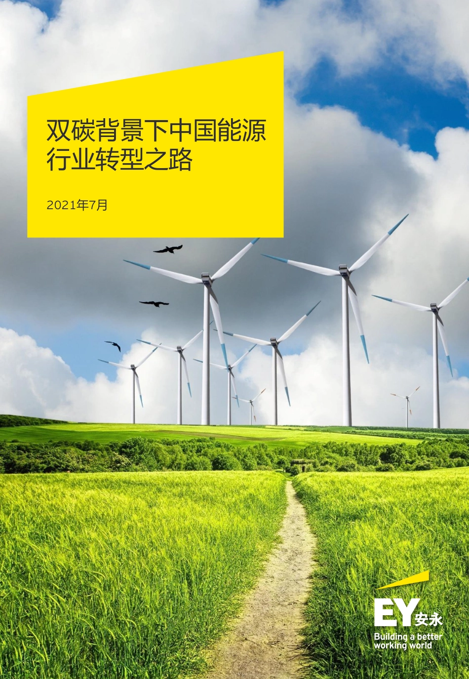 双碳背景下中国能源行业转型之路-安永_第1页