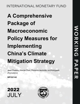 实施中国减缓气候变化战略的一揽子宏观经济政策措施-IMF