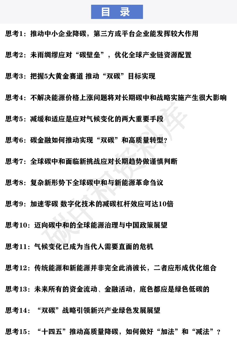 柴麒敏碳中和深度思考_第2页