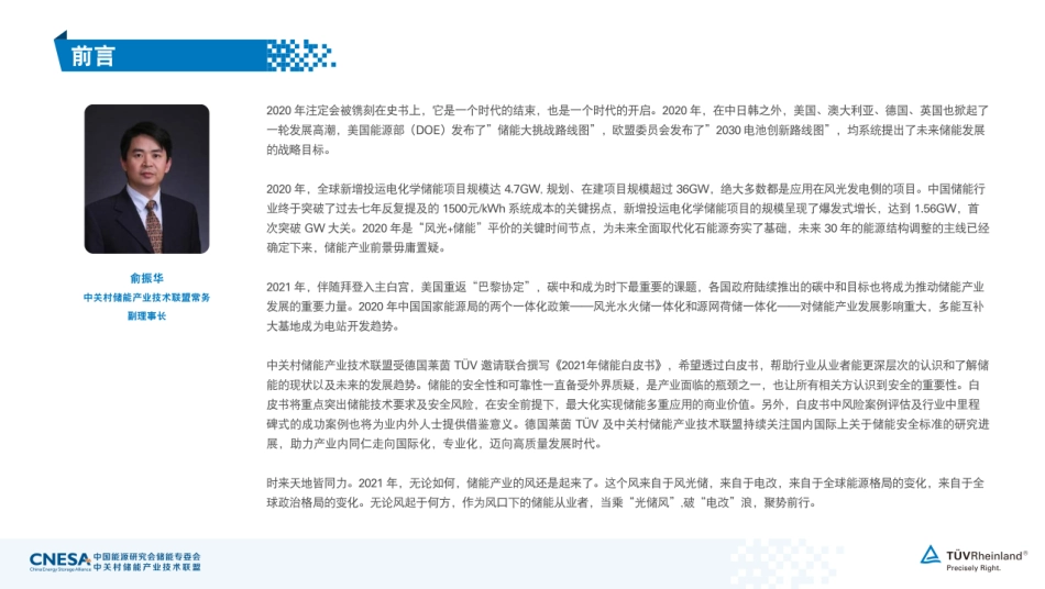 碳中和愿景下2021年储能白皮书（德国莱茵2021年储能白皮书）_第2页