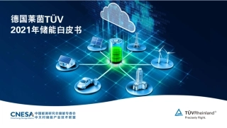 碳中和愿景下2021年储能白皮书（德国莱茵2021年储能白皮书）