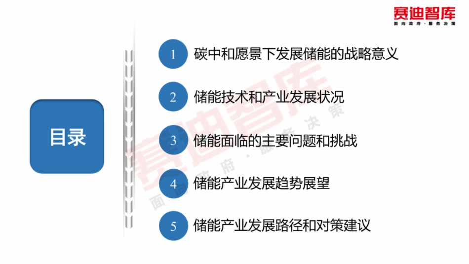 碳中和愿景下储能产业发展白皮书》_第2页