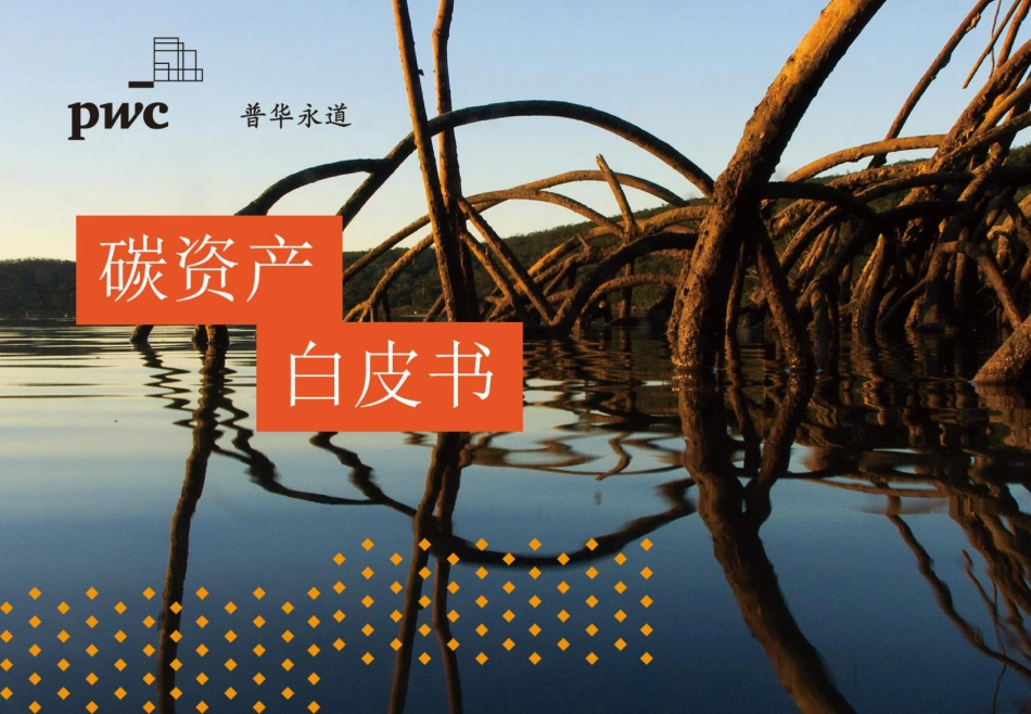 碳资产白皮书：管理现状与前景（碳资产白皮书-普华永道）_第1页