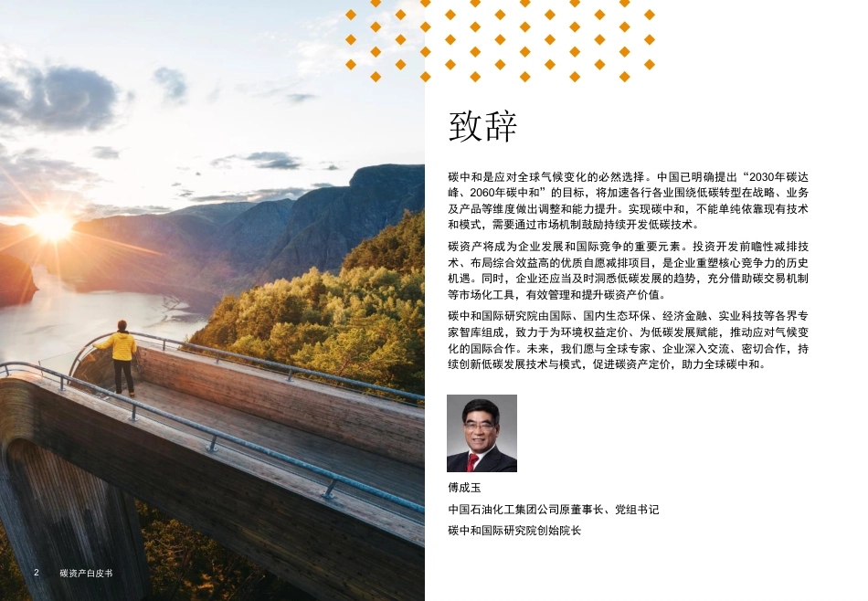 碳资产白皮书：管理现状与前景（碳资产白皮书-普华永道）_第2页