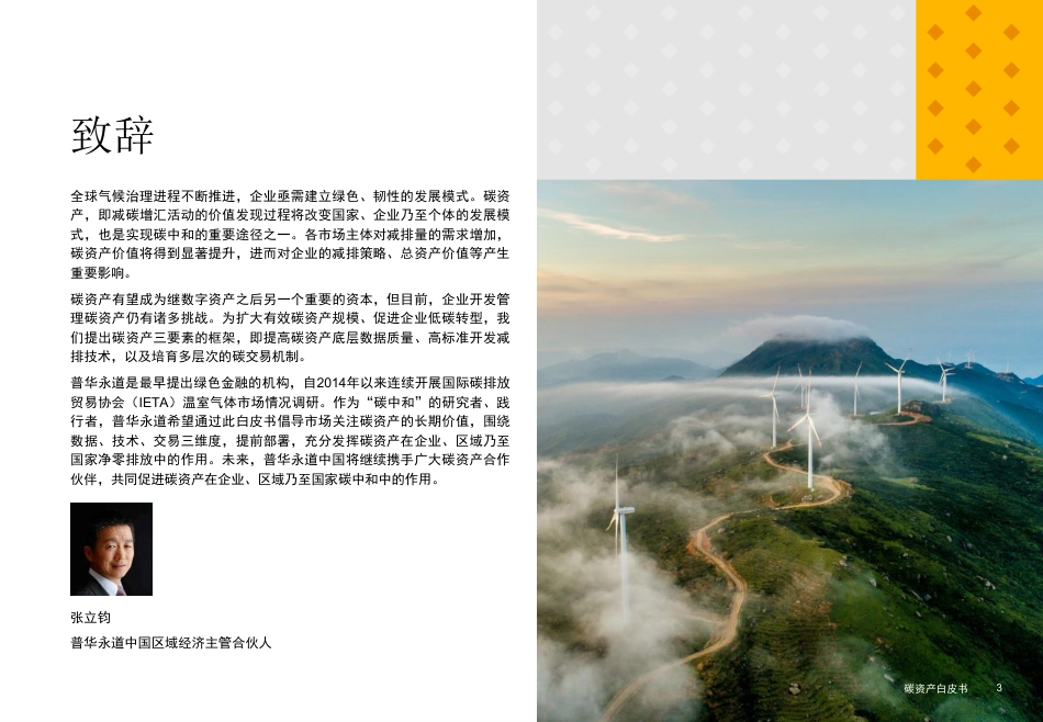 碳资产白皮书：管理现状与前景（碳资产白皮书-普华永道）_第3页