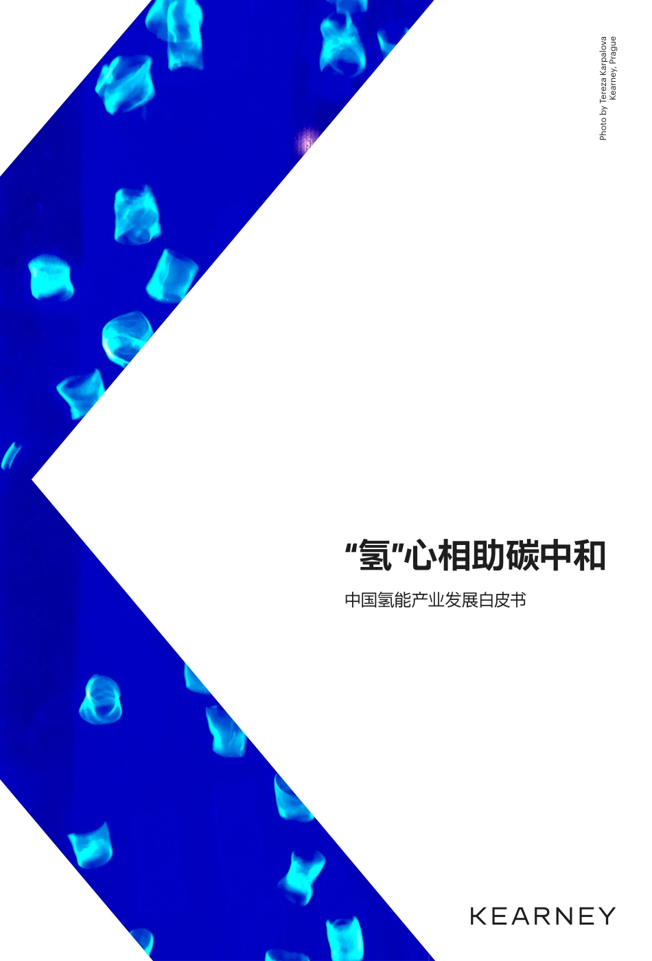 科尔尼公司《中国氢能产业发展白皮书》_第1页
