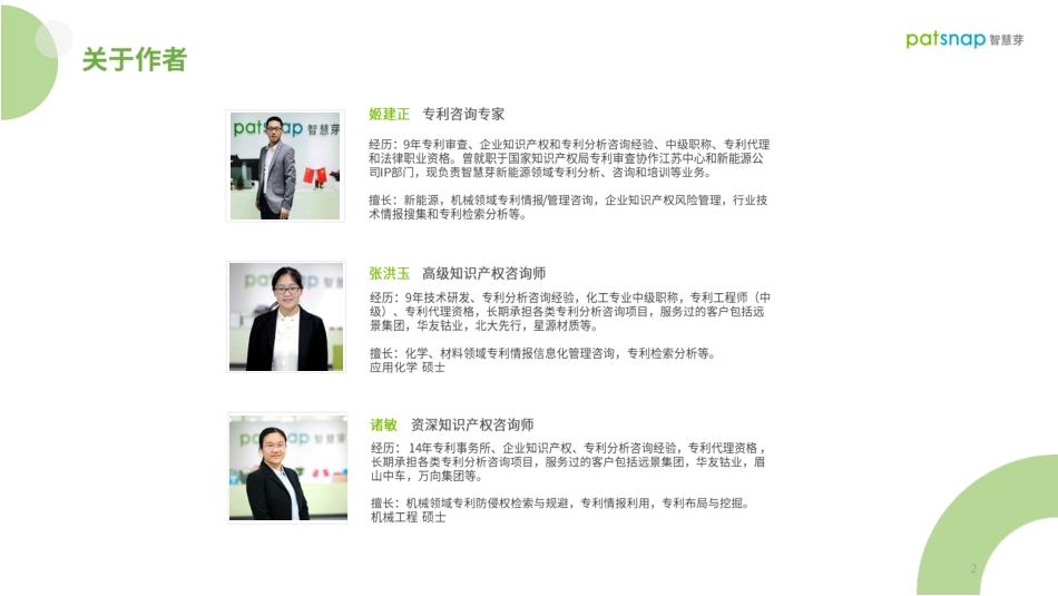 锂二次电池行业白皮书-智慧芽_第2页