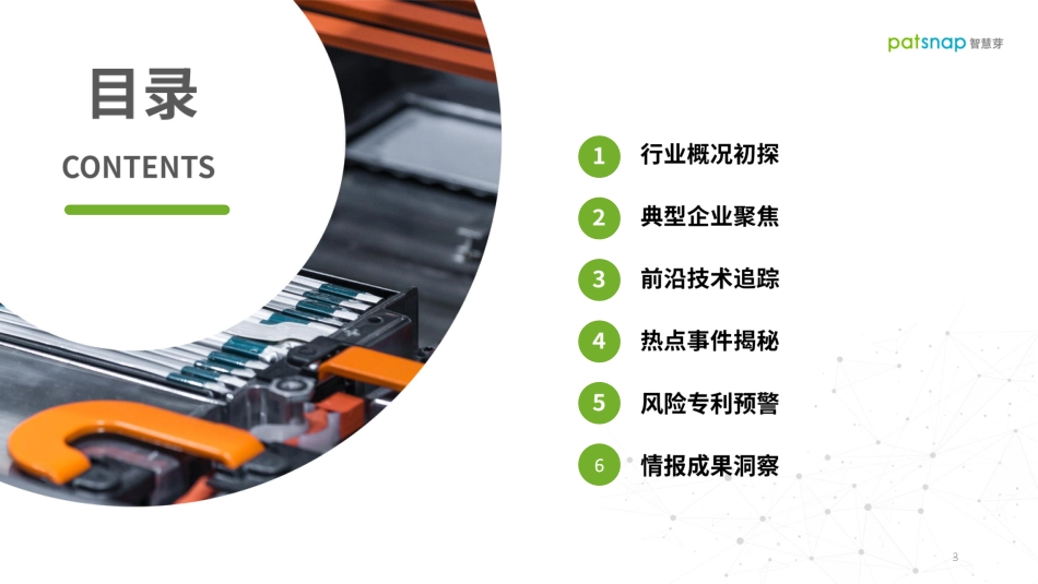 锂二次电池行业白皮书-智慧芽_第3页