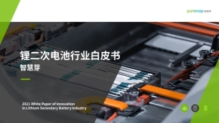 锂二次电池行业白皮书-智慧芽