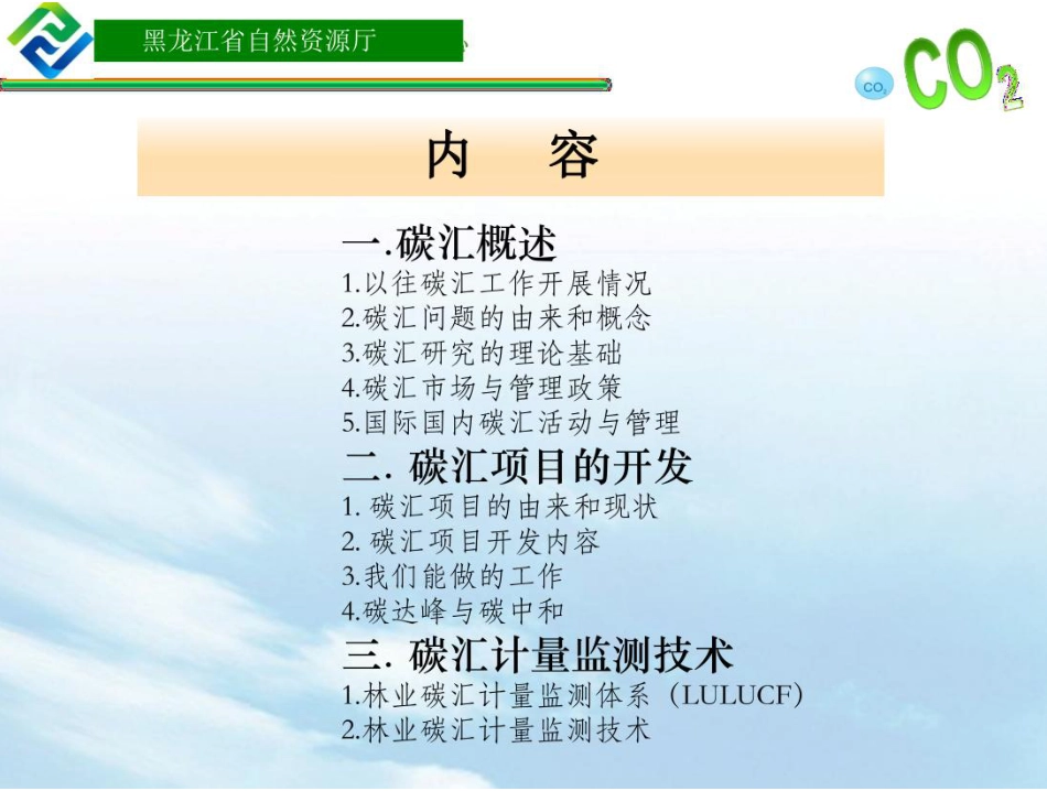 10、碳汇PPT：项目开发及计量监测技术_第2页