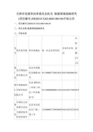 【中标】天津能源领域战略研究