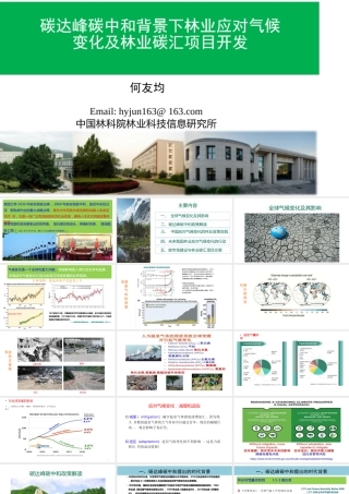 碳达峰碳中和背景下我国林业应对气候变化及林业碳汇项目开发(1)