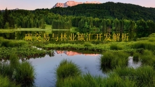 12、碳交易与林业碳汇开发解析