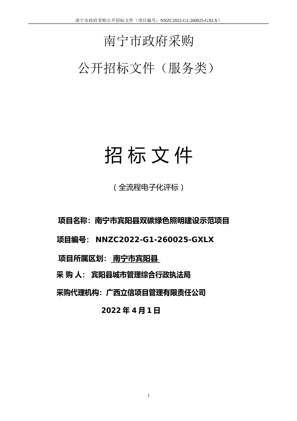 南宁市宾阳县双碳绿色照明建设示范项目采购文件_第1页