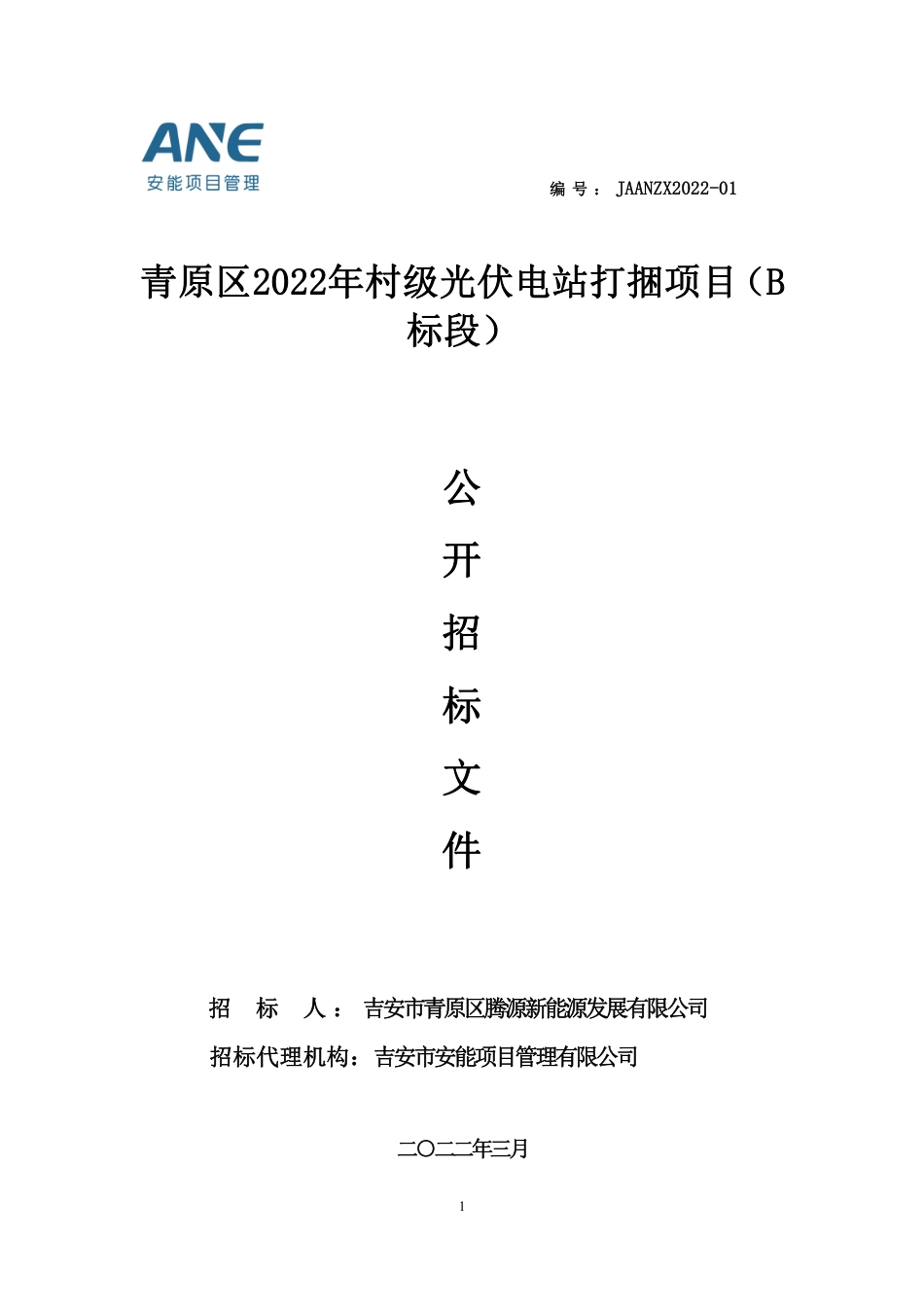 青原区2022年村级光伏电站打捆项目（B标段）招标文件_第1页