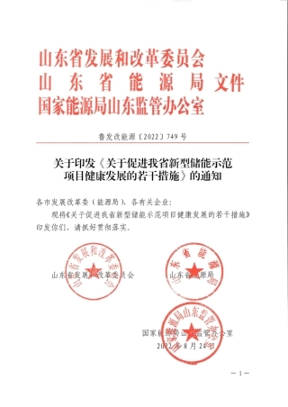 【政策】山东省关于促进我省新型储能示范项目健康发展的若干措施