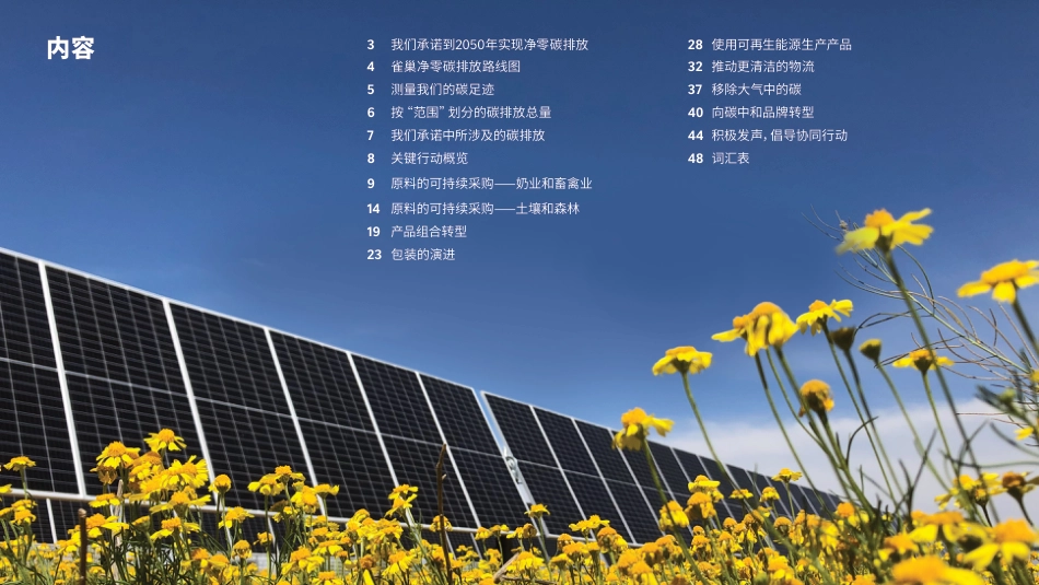 06 雀巢净零碳排放路线图_第2页