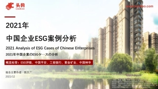 2021年中国企业ESG案例分析（一）-头豹