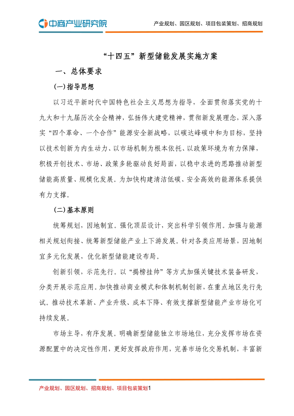 “十四五”新型储能发展实施方案_第1页