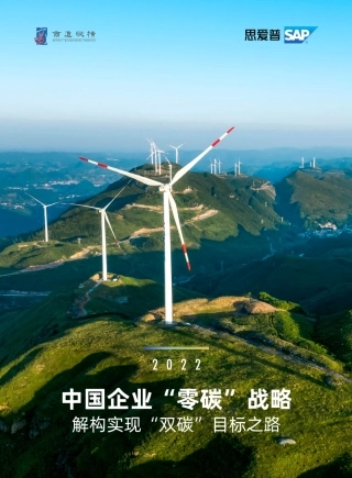 《2022中国企业零碳战略——解构实现“双碳”目标之路》