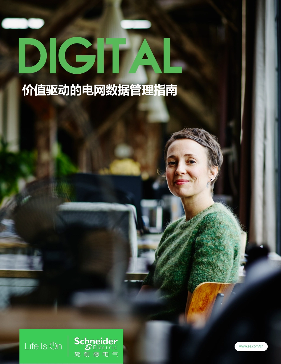 价值驱动的电网数据管理指南-施耐德电气_第1页