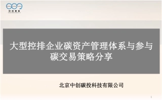 大型控排企业碳资产管理体系