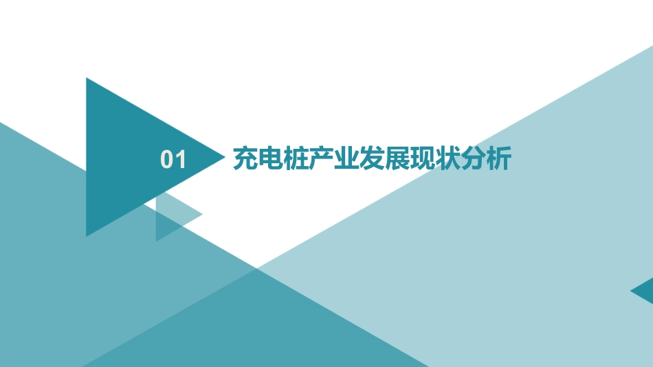 新能源充电桩产业互联网平台建设与运营规划方案_第2页