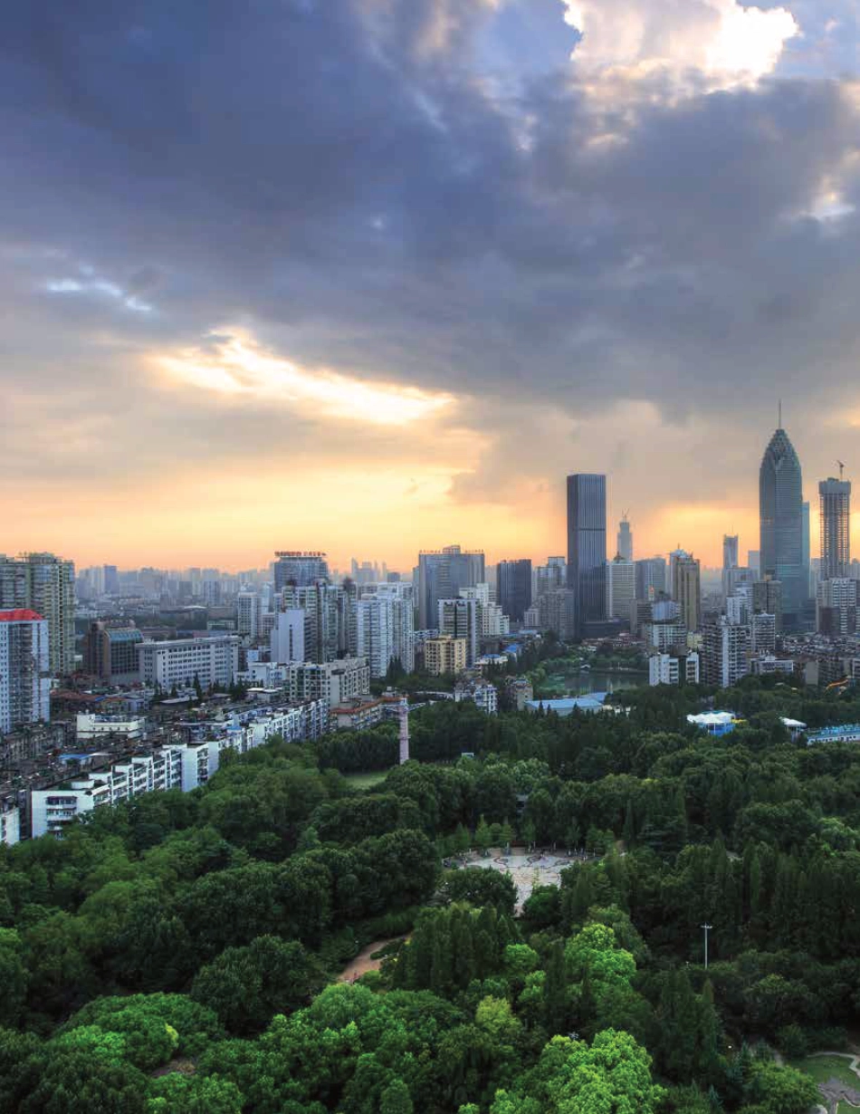 武汉市交通碳排放达峰路径研究_第2页
