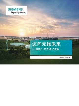 迈向无碳未来 — 氢能引领去碳化进程-西门子