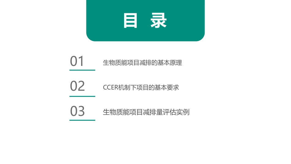06-天交所PPT：生物质能项目如何减碳_第2页