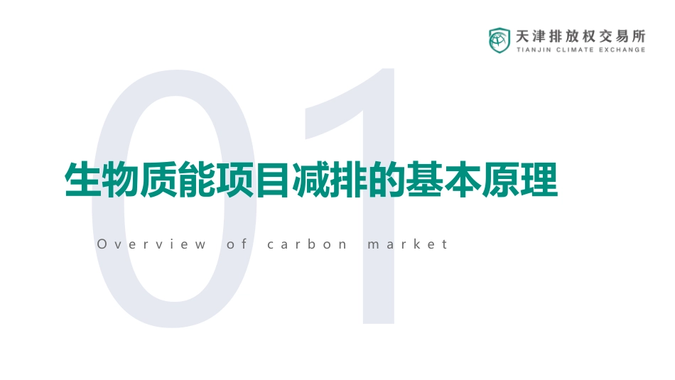 06-天交所PPT：生物质能项目如何减碳_第3页