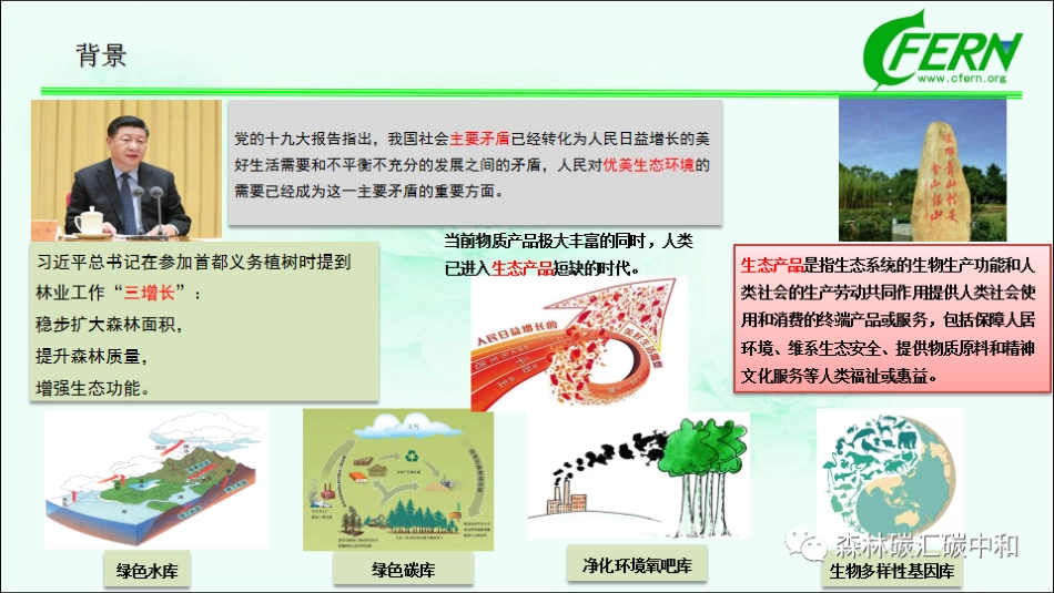 100页PPT《森林碳汇全口径，生态感知碳中和》_第2页