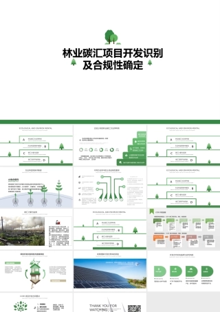 林业碳汇项目开发识别