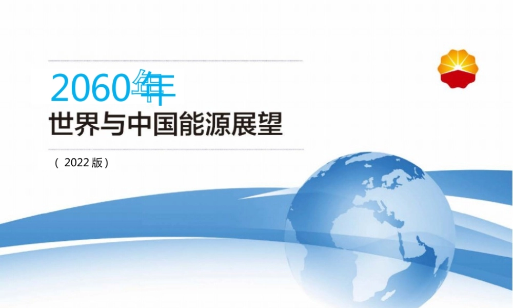 2060年世界和中国能源展望