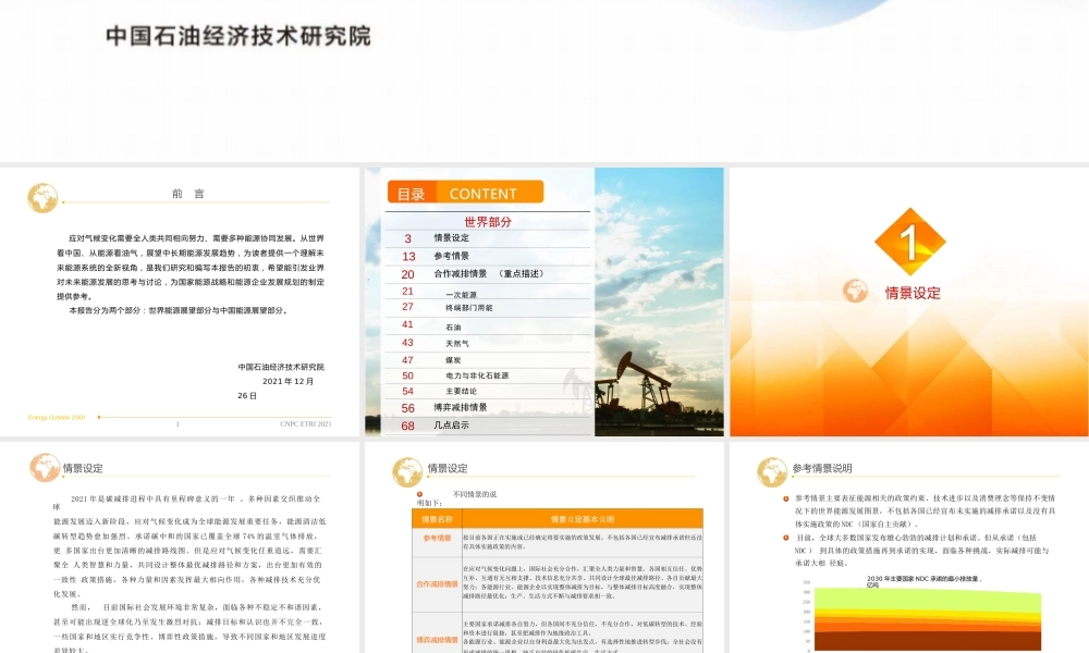 2060年世界和中国能源展望