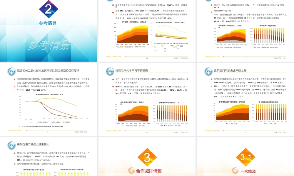 2060年世界和中国能源展望