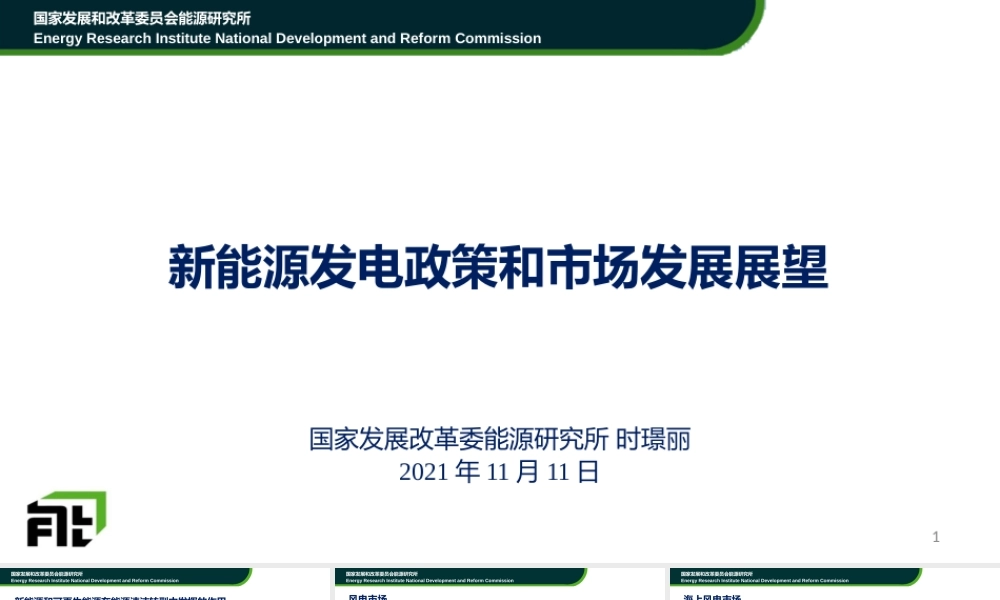 37页PPT《时璟丽：新能源发电政策和市场发展展望》