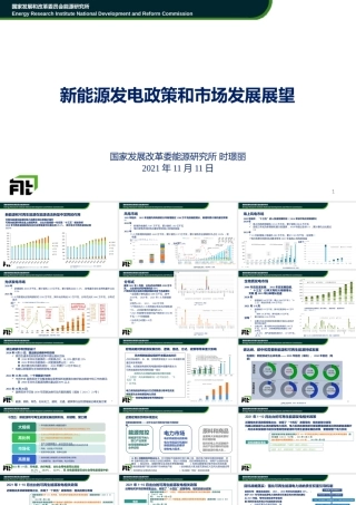 37页PPT《时璟丽：新能源发电政策和市场发展展望》