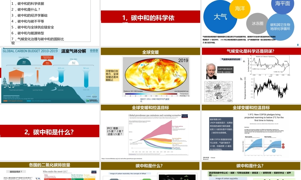 40页PPT《薛进军：气候变化治理与碳中和的国际比较》