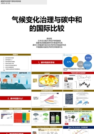 40页PPT《薛进军：气候变化治理与碳中和的国际比较》