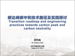 45页PPT《舒印彪：碳达峰碳中和技术路径及实践探讨》