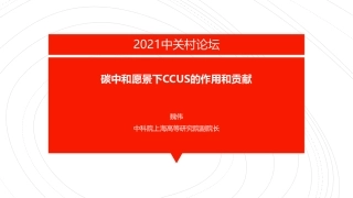 CCUS技术评估与技术路线图（碳中和愿景下CCUS的作用和贡献）