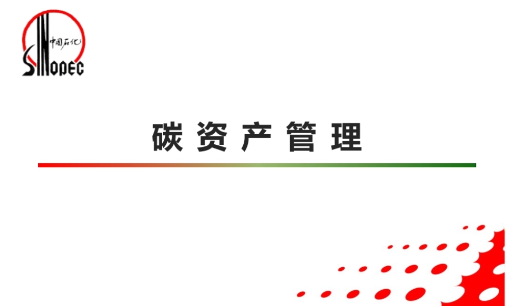 《碳资产管理》