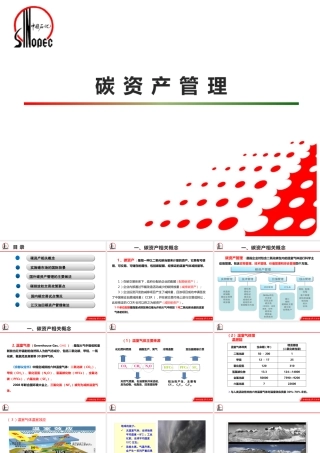 《碳资产管理》