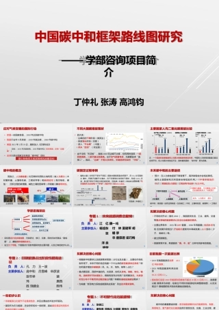 丁仲礼：中国碳中和路线框架
