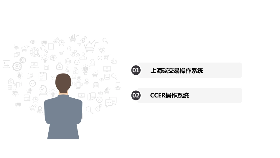 上海碳交易系统及国家CCER系统操作介绍-20210309-上海环境能源交易所-39页_第2页